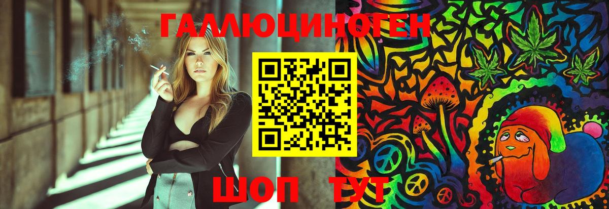 Галлюциногенные грибы Psilocybe Славгород